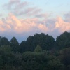 今朝の景色
