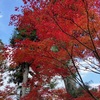 初めての「宝厳院」ほか、京都紅葉めぐり（その１）