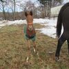 惜しい競馬
