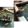 行ってきました！！　「なごみの会　大人の遠足　第３弾　”開運”土井酒造場」