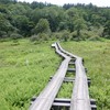 関東ふれあいの道 高原と牧場のみち 湿原とせせらぎのみち