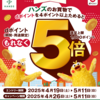 【4/26～5/11】（dポイント）【ハンズ】dポイント5倍キャンペーン