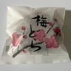 小6春休み東日本旅行記②｢Suicaも欲しい。｣
