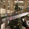 ランドマークタワー３０周年　クリスマスツリー　