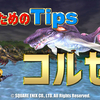 【コルセアの取扱説明書②】コルセア装備のTips
