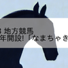 2023/11/3 地方競馬 門別競馬 8R 本年開設!「なまちゃき」特別(C1)
