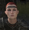 The Elder Scrolls Online 翻訳（Stonefallsその9-2）