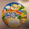 トロピカルフルーツプリン  メグミルク
