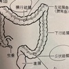 大腸内視鏡カメラの検査結果