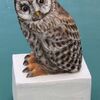 小さなフクロウ　新作