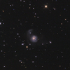 Arp215(NGC2782) <Lynx>