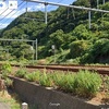 グーグルマップで鉄道撮影スポットを探してみた　羽越本線　越後早川駅～桑川駅
