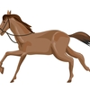 【追い切り注目馬】【長久手特別】【大府特別】他　2024/8/25(日) 中京競馬　快速披露で変われるか