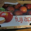 　Fuji apple