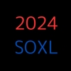 2024年SOXLとの闘いが終わりました。