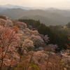 春霞の夕暮れ