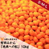 【ララチューン（ラランド公式） #３】 バラシドッキリ2回目の地は和歌山県