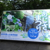 あじさいまつり　府中市郷土の森公園