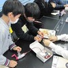 ６年理科「電気の利用」、通学団会