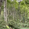 大辻山帰りにトラブル天の助け