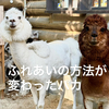アルパカふれあいの仕方が変更となりました。