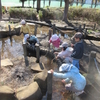 文理台公園のカエルと卵