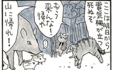 夜廻り猫【第一一〇五話】里芋泥棒4