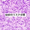 GISTのリスク分類について