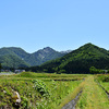 気になっていた草刈りと道路清掃