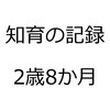 知育の記録を振り返ってみました。2016年7月、娘2歳8か月。