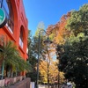 吉祥寺: 井の頭恩賜公園の紅葉の色づき確認してきました。