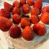 チョコレートシフォンケーキ〜バレンタイン近く｡