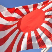 想田和弘氏も旭日旗類似意匠に 良いアイデア と 今 旭日旗は 高野連 や 立憲民主党 の催しで掲げられるか Invisible D ーquiet Colorful Place