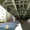 【聖地巡礼】ヒプノシスマイク「Hang out!」@東京都・日本橋