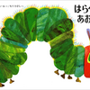 はらぺこあおむしとおねえさんの思い出