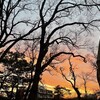 ショートショートにはOKが出た