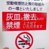 ［20/06/11］きのと とり ０８ｈ過ぎ起きる