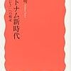 ヴェトナム新時代―「豊かさ」への模索 (岩波新書)