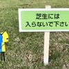 歌い踊る自分をARで見たい[歌と踊り編]