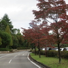 秋の訪れ🍂