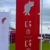 名古屋初上陸！人気の猫イベントまで走って行こう。