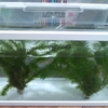 Water cistern (fish tank) = 2250 yen ($21.82 €19.69)