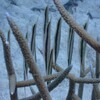 ペラッペラの体