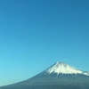 バタバタ年末　これから大掃除。汗