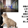 忙中閑あり