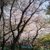 はじまりの上野から六義園へ。そして音無親水公園。