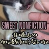 【SWEET NONFICTIONマックの安いハンバーガーにトマトを入れましょう✨猫の辛噛み】#SWEET NONFICTION#niziu