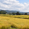 田畑にまつわる怪奇現象