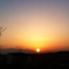 芽吹いてきました♫