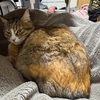 暑いのか、寒いのか。